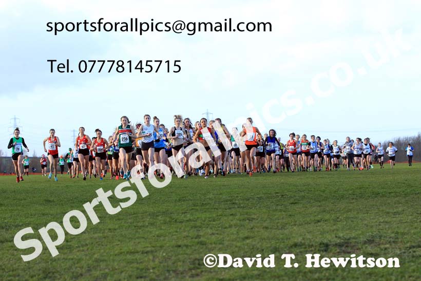 Senior womens 2022 Northern Cross Country Champs., Pontefract. Photo: David T. Hewitson/Sports for All Pics